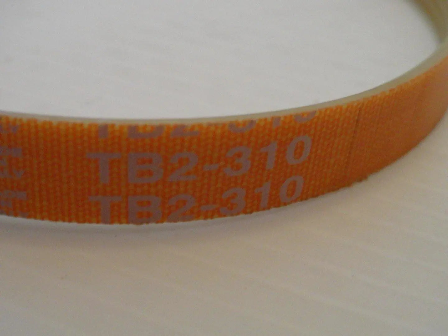 cinghia sviluppo tb2 310 mm 5 gole affettatrice rgv mod. 195 -22gs (solo per 195) RGV