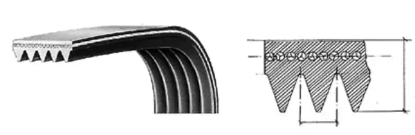 Cinghia poly-V 1306 J5 116LG103 SKF